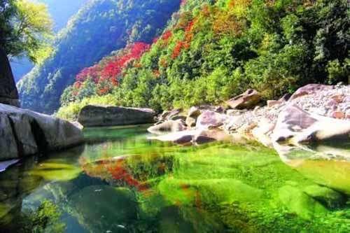 陕西11岁失踪男孩已遇害(失踪案)